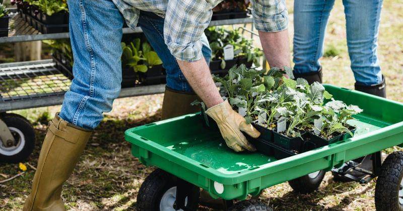 Pexels/Greta Hoffman